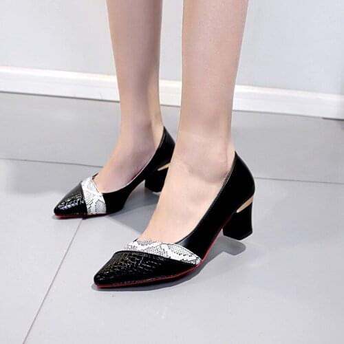 Fashion Small Fresh Two Wear Single Shoes Fall New Thick with Shallow Mouth Womens Shoes Elegant Square Head High Heels