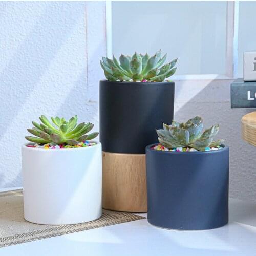 Ceramic Fleshy Flowerpot Northern European Style Simple Straight Tube Modern Black and White Gray Matte Fleshy Green Planter