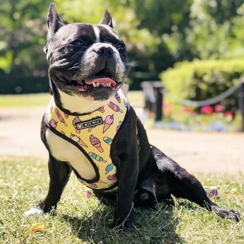 New Ins Style Dog Harness and Leash Set No Pull Breathable Pet Vest Harnesses Rope for French Bulldog Pug Puppy Dog accessories