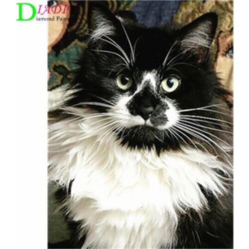 NEW Full Square Diamond Painting Cat 5D Diy Diamond Embroidery Animal Mosaic Picture Of Rhinestone Home Decoration Girl Hobby