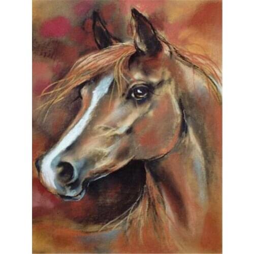 Animal Horse Pre-Printed 11CT Cross Stitch DIY Embroidery Set DMC Threads Craft Handicraft Handmade Needlework Home Different