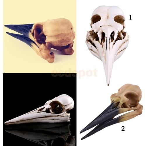 Resin Oystercatcher Skull Replica Skeleton Figurine Collection Decor Yellow/White