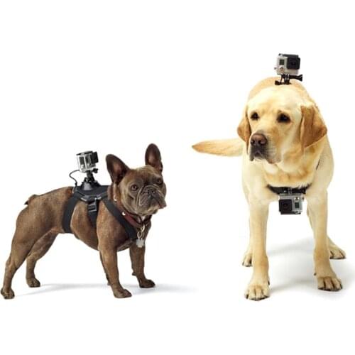 Hound Dog Fetch Harness Adjustable Chest Strap Mount for GoPro DJI Osmo Action, Xiaoyi and Other Action Cameras
