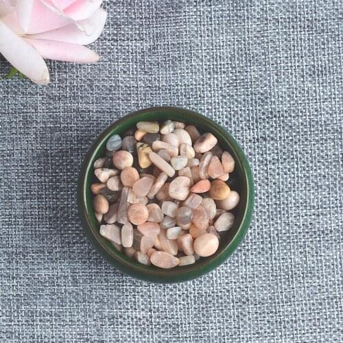 Natural Polish Shell Crushed Sharpening Crystal Healing Reiki Tumbled Chip Stones Gemstone Home Tank Aquarium Decor Garden Rocks