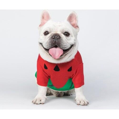 Watermelon sweater dog sweater dog clothes chihuahua dog christmas clothes pet clothes pets dog clothes for small dog winter