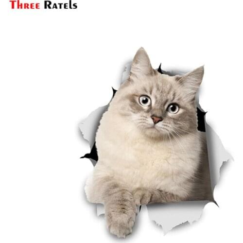 Three Ratels FTC-1048 3D Cat Stickers Siberian Kitty for Car Window Wall Fridge Toilet Decorations Living Room