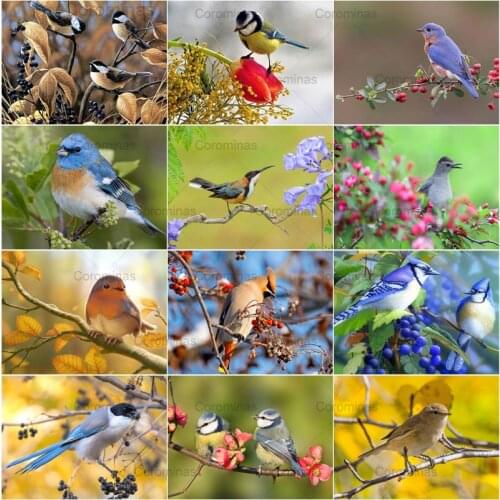Bird Animal Diamond Painting 5D Diy Full Diamond Embroidery Cross Stitch Mosaic Rhinestones Kit Gift Handicraft Art Home Decor