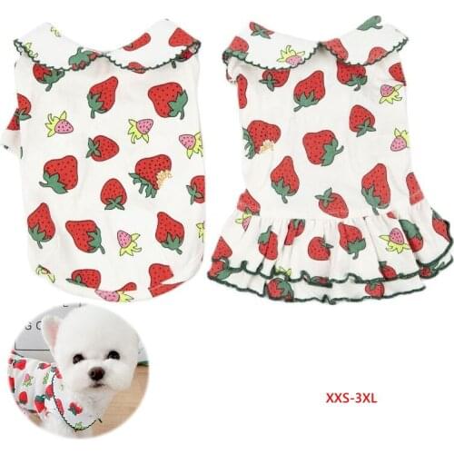 Couple Dog Clothing T-shirt Dress Summer Cat Puppy Yorkshire Pomeranian Costume Bichon Poodle Schnauzer Maltese Dog Clothes XXS
