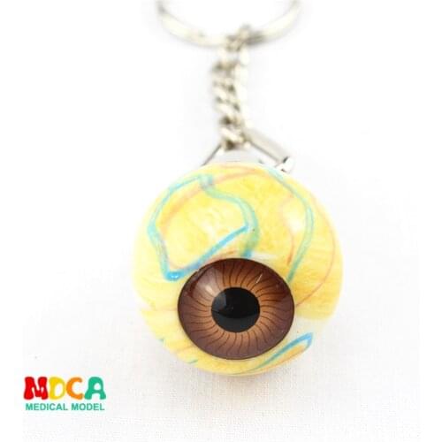 Eye Keychain ornament gift pendant key buckle human organ anatomy medical teaching toy YSK001
