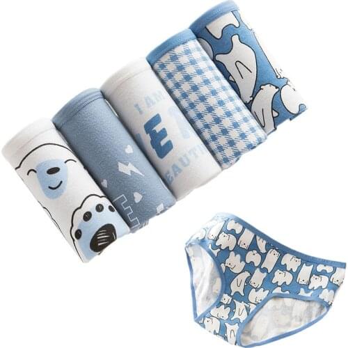 5Pcs/lot Women Panties Cotton Underwear sexy Panties Comfort Intimates Girls Lingerie calcinha Underpants Lady Panty Plus M-XXL