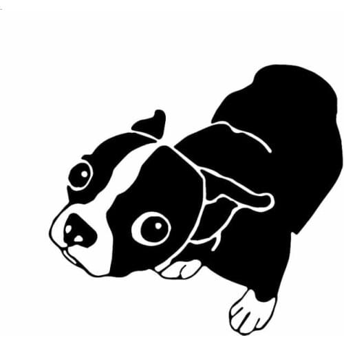 Hot Cartoon Car Stickers Motorcycle KK Vinyl Decals Dog Car Sticker for Molly The Boston Terrier PVC 15cm X 14cm