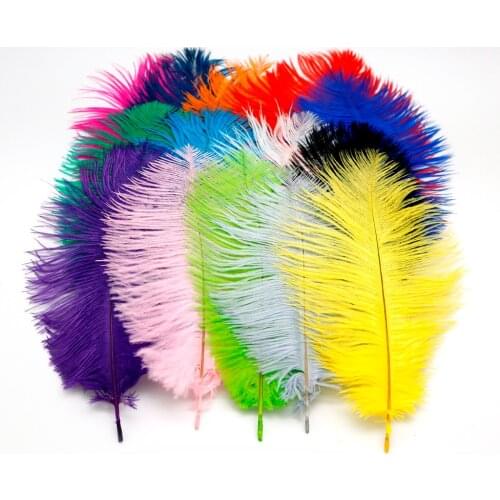 Fashion Ostrich Feathers 20-25cm 5pcs/bag Dress Craft Beautiful for DIY Craft High Quality Wedding Bouquet