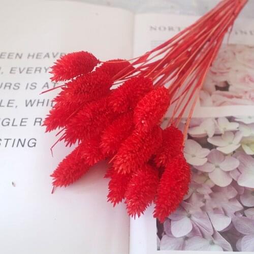 50pcs Tabe Art Pink Natural Dried Plant Artificial FLowers Gem Grass Indie Room Decor Party Wedding ChristmasHome Decoration