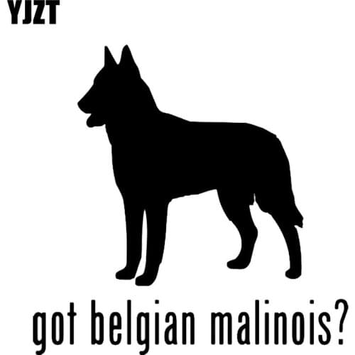 YJZT 15*15CM Got Belgian Malinois Herding Dog Car Window Vinyl Decal Waterproof Car Sticket C2-3006
