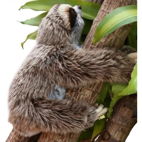 Плюшевые растения TONQUU China At AliExpress