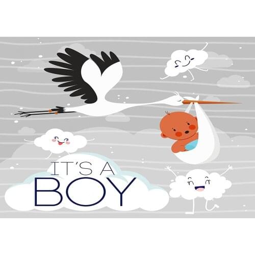 Crane Cartoon Clouds Photographic Backgrounds Computer Printed Backdrop for Children Baby Shower Boy Photophone Photo Studio