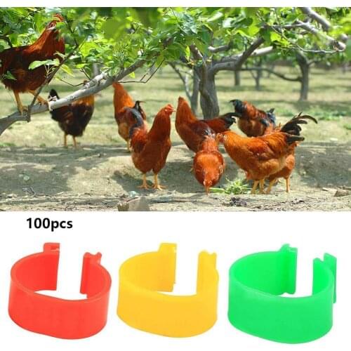 100pcs Breeding Poultry Special Open Buckle Chicken Goose Engraving Engraving And Foot Chicken Duck Ring Foot R L7J8