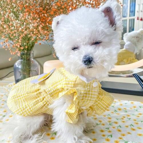 Summer Dog Pets Clothing Cat Puppy Skirt Princess Costumes Yorkshire Poodle Bichon Pomeranian Schnauzer Dog Dress Pet Clothes