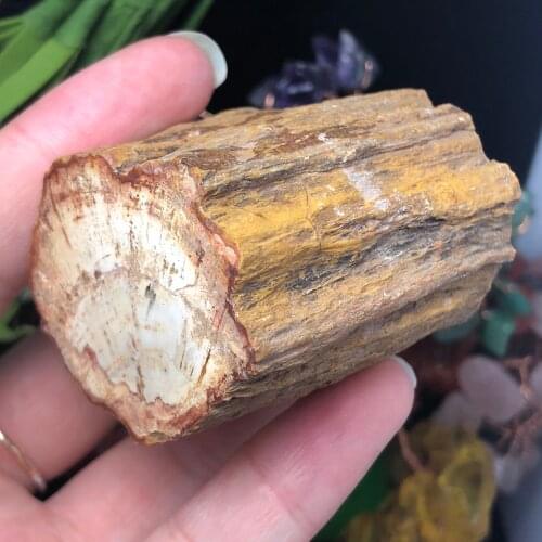 Natural Petrified wood fossil original stone raw Rock Crystal Quartz Mineral Specimen Healing Reiki home Decor