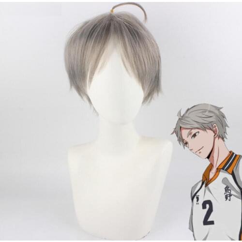30CM Gray Short Wig Anime Haikyuu!! Karasuno Sugawara Koushi Cosplay Costume Heat Resistant Synthetic Hair Haikiyu Men Women Wig