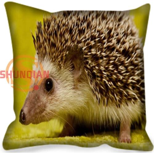 New Custom Pillow Case Hedgehog Square Pillowcase zipper Two sides 35x35cm 40x40cm 45x45cm 60x60cm Custom your image