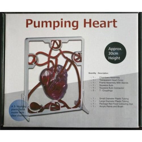 QH3304-13 heart blood circulation system model DIY pump heart model educational toy