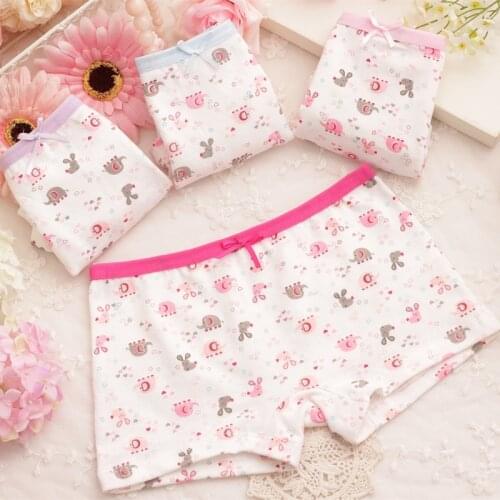 3Pcs Lot Girl Underwears Elephant Color Childrens Briefs Baby Cotton Short Kids Cartoon Panties ZL22
