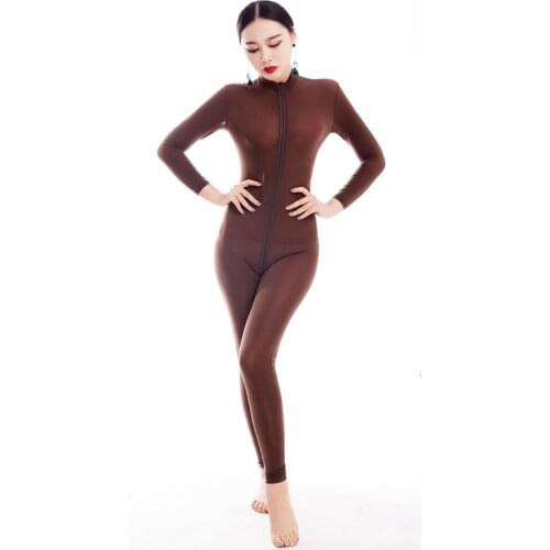 Ice Silk Long Sleeve Bodycon Jumpsuit See Through 2 Zipper Open Crotch Bodysuit Babydoll Tight Bodystocking Combinasion Overalls