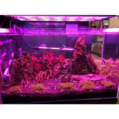 GROWSUN Phytolamps For Plants