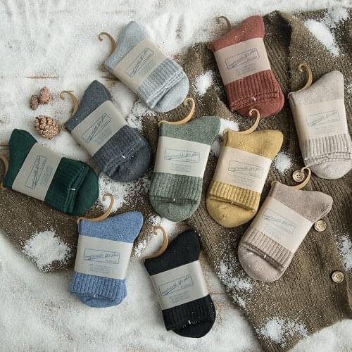 New Autumn and Winter Socks Womens Japanese Style Napped Terry Thicker Cotton Retro Color Middle Tube Pile Women Socks