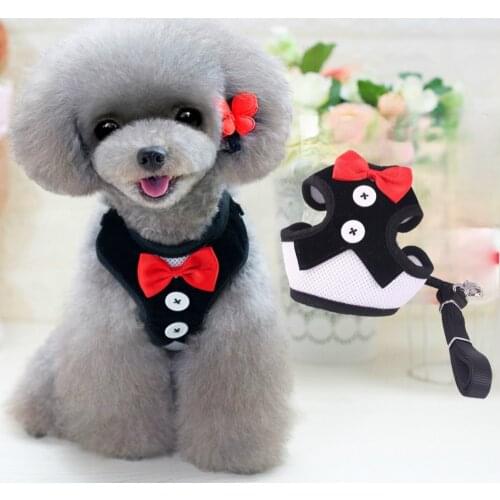 Harness Leash Dog Pet Cat Puppy Vest Bow Chihuahua Mesh Adjustable Bowknot Bowtie Chest Collar Tuxedo Breathable Knot Belt Eleg