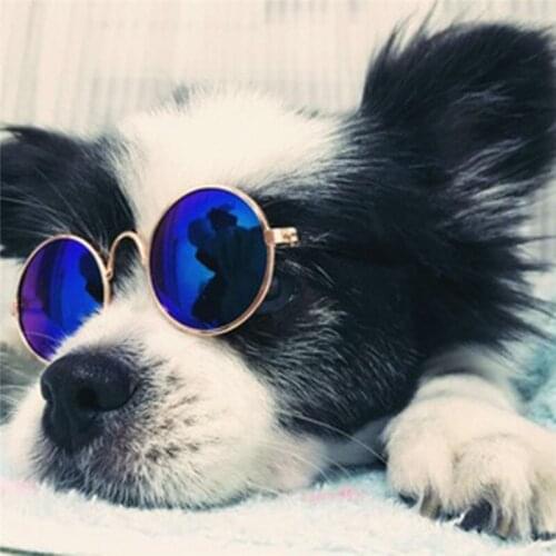 1Pcs Hot Sale Dog Pet Glasses For Pet Products Eye-wear Dog Pet Sunglasses Photos Props Accessories Pet Supplies Cat Glasses