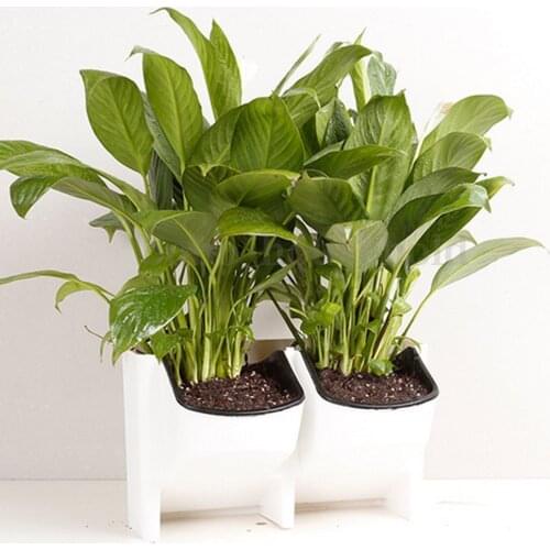 4Piece Stackable 2-Pocket Wall Planter Hanging Plant Pot Self Watering White