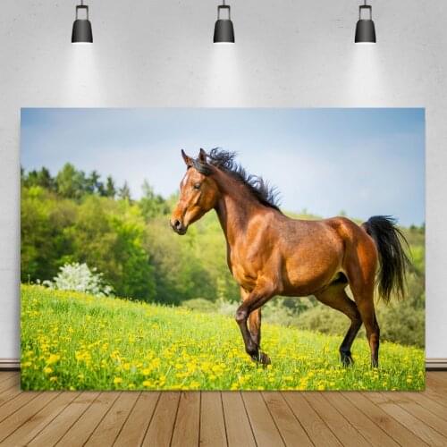 Running Horse Grassland Blue Sky Cloudy Scene Photo Zone Photography Background Photo Backdrop Photocall For Photo Studio Props