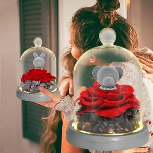 Eternal Preserved Rose Cute Bear Bunny Beauty and The Beast In Glass Dome Artifical Flowers Valentines Mothers Day Gift for Her