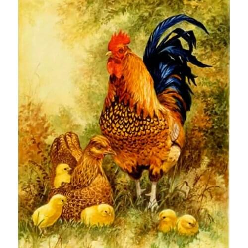 JMINE Div 5D Farm Cock Chicken Full Diamond Painting cross stitch kits art High Quality Animal 3D paint by diamonds