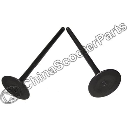 In vavle 2PCS for NC250 250cc zongshen Engine valve xmotos apollo KAYO BSE Dirt Pit Bike ATV