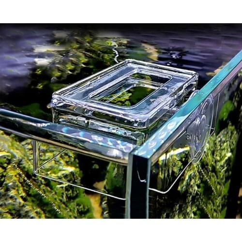 Aquarium Arcylic Square Float Feeder Ring Suction Cup Betta Fish Food Feeding