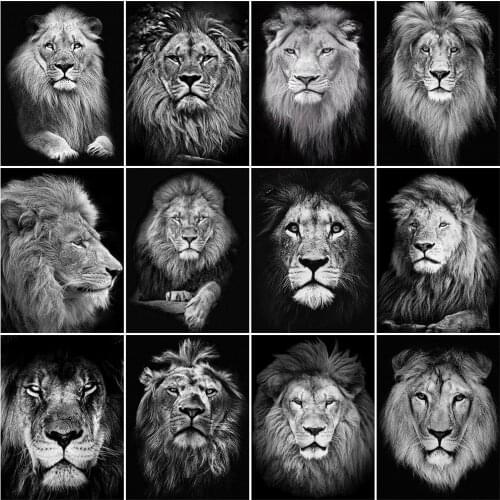 Evershine Diamond Painting Lion Diamond Embroidery Black White Animals 5D DIY Rhinestone Picture Mosaic Sale Home Decoration