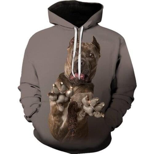 2021New Hoodies Men/Women Casual Mens Hoodie 3D Cute French Bulldog Rose Design Boy/Girls Sweatshirts Animal Men clothing Tops