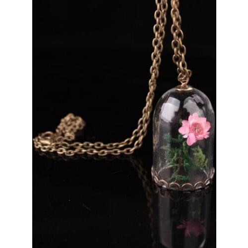 20pcs Daisy Dry Flower Moss Glass Vial Necklace Glass Bubble Pendant Necklace Wish Glass Bottle Necklace 70cm