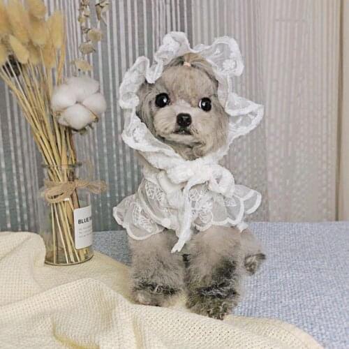 55% Dropshipping!!Dog Clothes Round Neck Sun Protection Polyester Pet Princess Dress for Summer