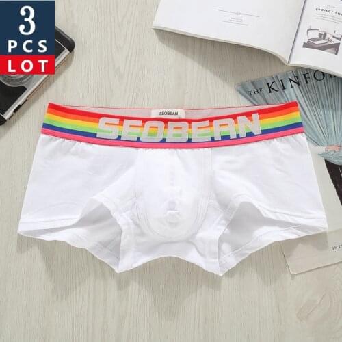 3Pcs/lot Men Boxer Underwear Men Cotton Man Boxers Shorts Comfortable Underpants Male Solid Soft Breathable Panties