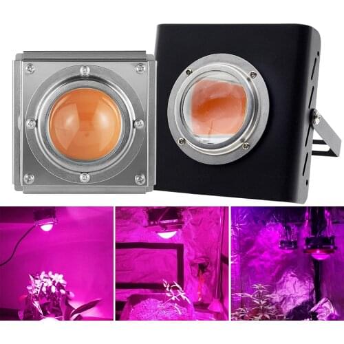 300W LED Grow Light Full Spectrum Phyto Lamp Waterproof High Luminous Efficiency For Indoor Hydroponic Greenhouse Tent Plant