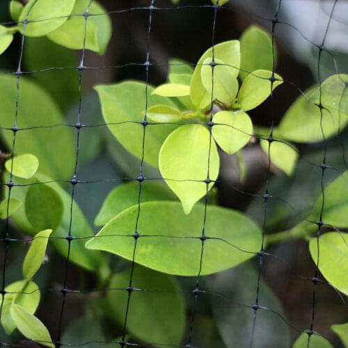 Anti Bird Mesh Netting Net Pond Fencing for Fruit Vegetable Plant Protection Garden Fish Tree Pond Orchard Farmland Plantation