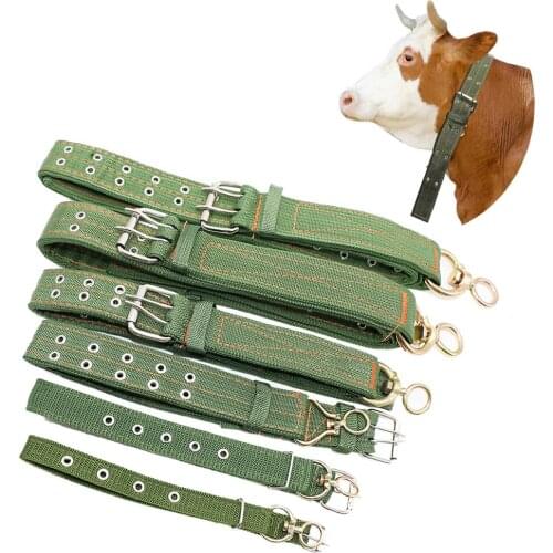 Adjustable Cattle Collar Cow Hauling Collar Livestock Feeding Supply Canvas Belt Strong Durable Belay Tie Veterinary Equipment