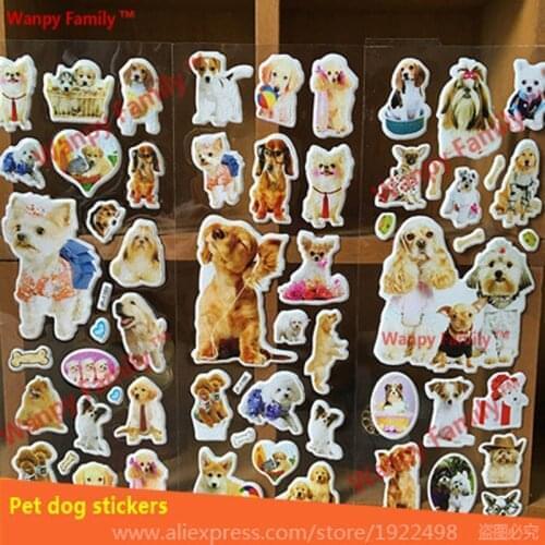 Скейтборды Wanpy Family China At AliExpress