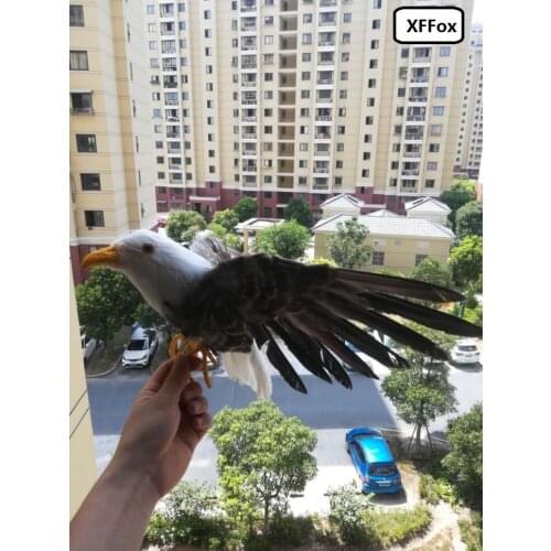 New liflike eagle model foam&feathers spreading wings eagle model about 35x55cm xf0359