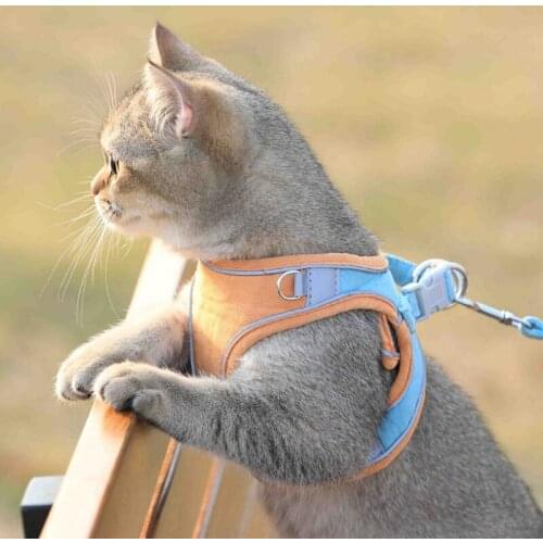 XS-XL Outdoor Pet Training Walking Safety Leash with Reflective Tape Pet Chest Harness Breathable Dog Leash Dog Vest Harness