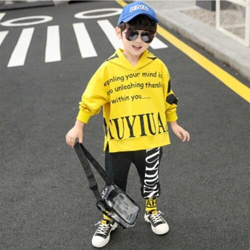 Baby Clothing Kids Clothes Boys Spring And Autumn Printed And Monogrammed Sportswear Suit Clothing For Boys Kids Boy Clothes Set